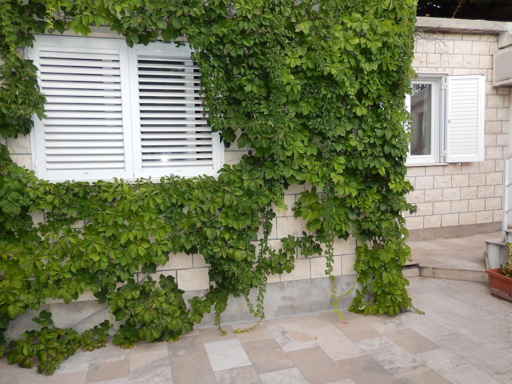 Dubrovnik Apartments Kovacec Buitenkant foto